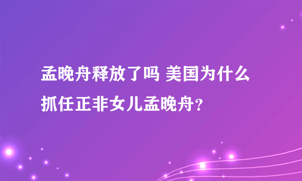 孟晚舟释放了吗 美国为什么抓任正非女儿孟晚舟？