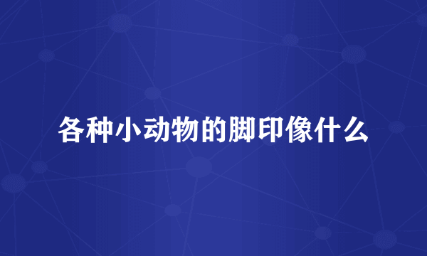 各种小动物的脚印像什么