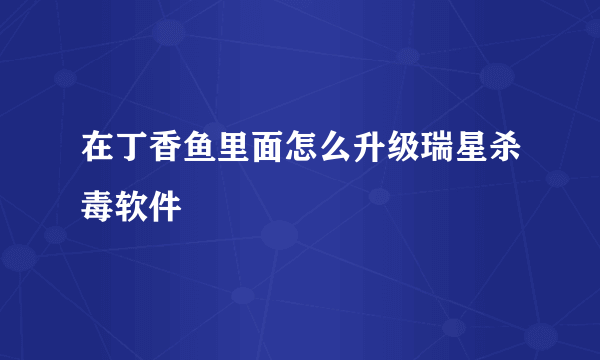 在丁香鱼里面怎么升级瑞星杀毒软件