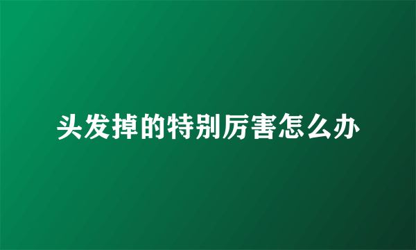 头发掉的特别厉害怎么办