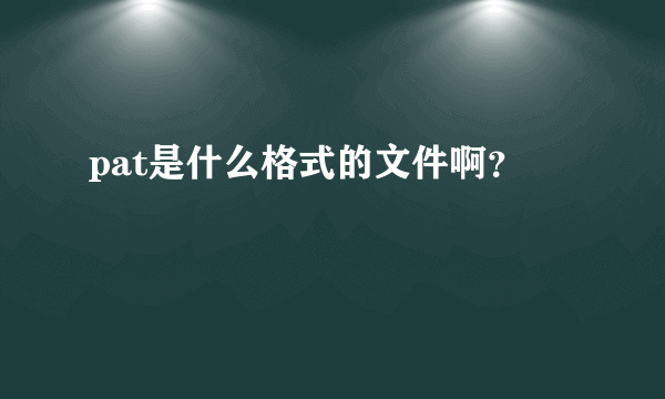 pat是什么格式的文件啊？