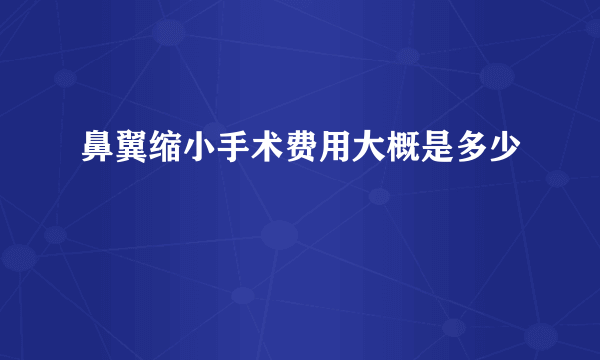 鼻翼缩小手术费用大概是多少