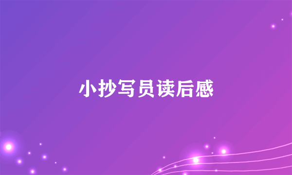 小抄写员读后感