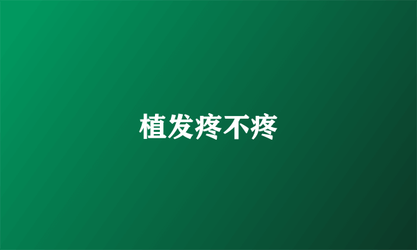 植发疼不疼