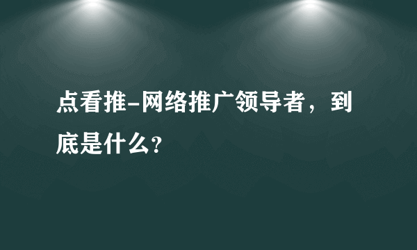 点看推-网络推广领导者，到底是什么？
