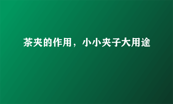 茶夹的作用，小小夹子大用途
