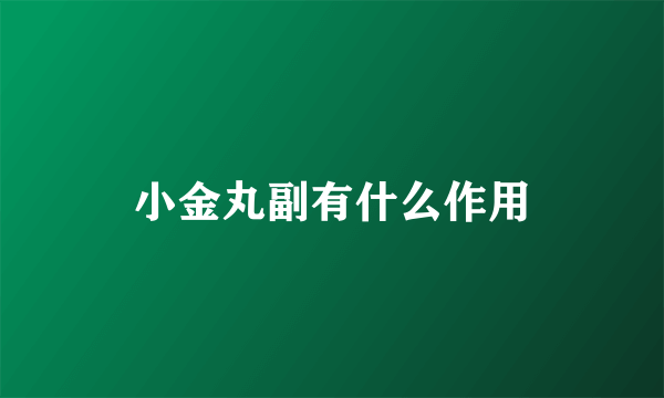 小金丸副有什么作用