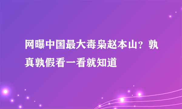 网曝中国最大毒枭赵本山？孰真孰假看一看就知道