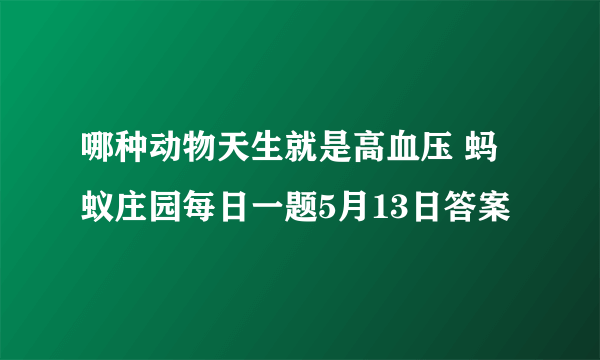 哪种动物天生就是高血压 蚂蚁庄园每日一题5月13日答案