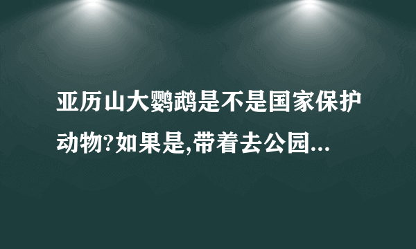 亚历山大鹦鹉是不是国家保护动物?如果是,带着去公园,会不会被人举报?