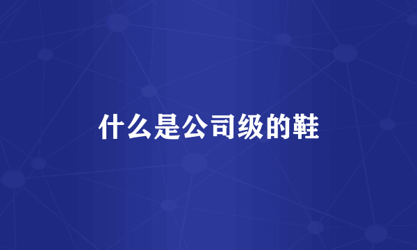 什么是公司级的鞋