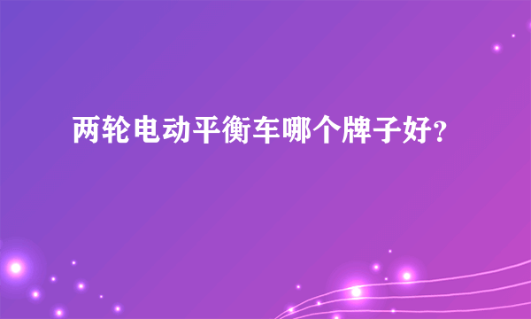 两轮电动平衡车哪个牌子好？