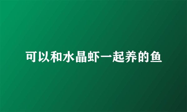 可以和水晶虾一起养的鱼