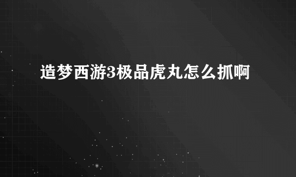 造梦西游3极品虎丸怎么抓啊