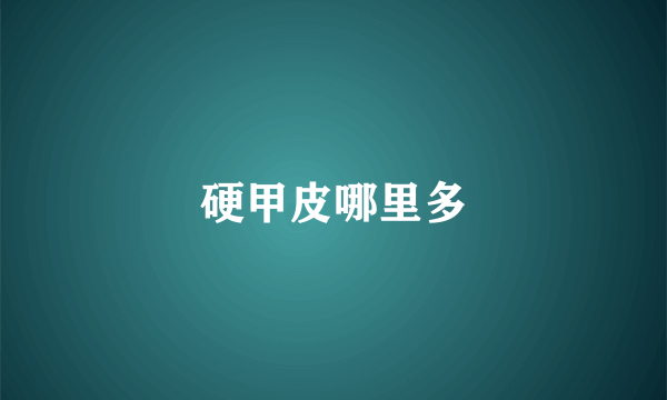 硬甲皮哪里多