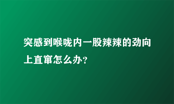 突感到喉咙内一股辣辣的劲向上直窜怎么办？