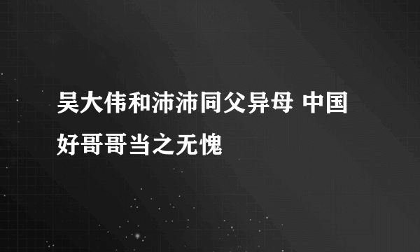 吴大伟和沛沛同父异母 中国好哥哥当之无愧