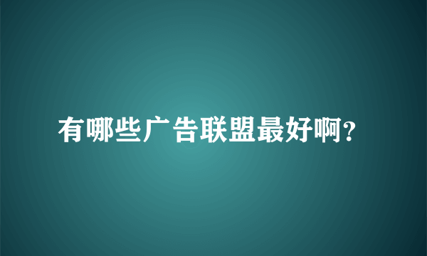 有哪些广告联盟最好啊？