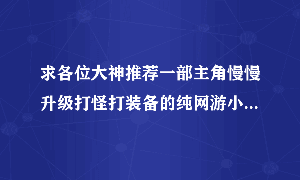 求各位大神推荐一部主角慢慢升级打怪打装备的纯网游小说，不要那种死一次掉级的，内容丰富有想象力耐看的