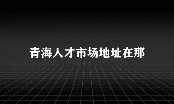 青海人才市场地址在那