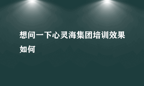 想问一下心灵海集团培训效果如何