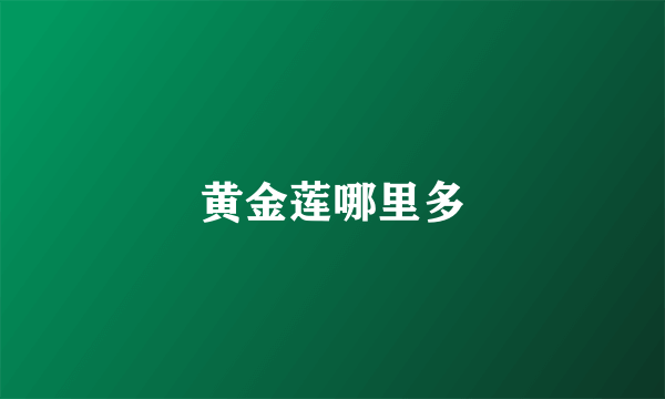 黄金莲哪里多