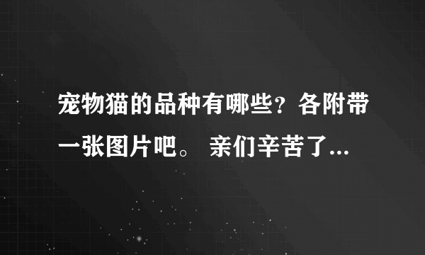 宠物猫的品种有哪些？各附带一张图片吧。 亲们辛苦了，先谢啦！