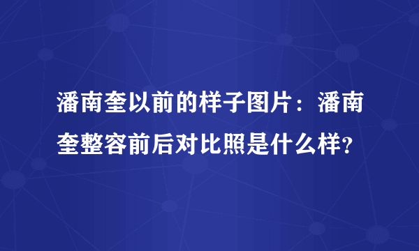 潘南奎以前的样子图片：潘南奎整容前后对比照是什么样？