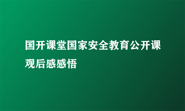 国开课堂国家安全教育公开课观后感感悟