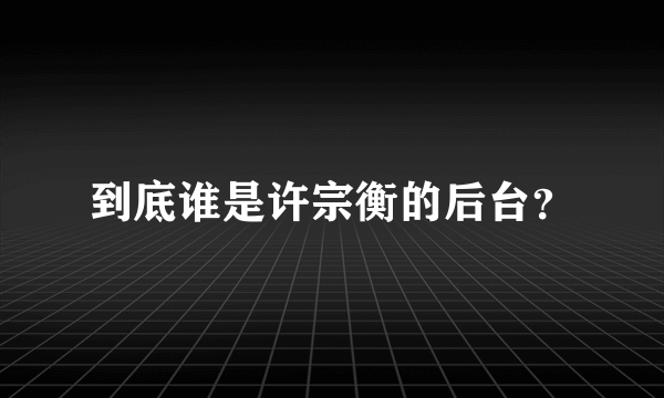 到底谁是许宗衡的后台？
