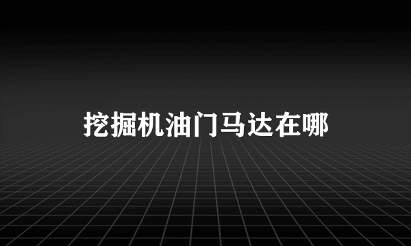 挖掘机油门马达在哪