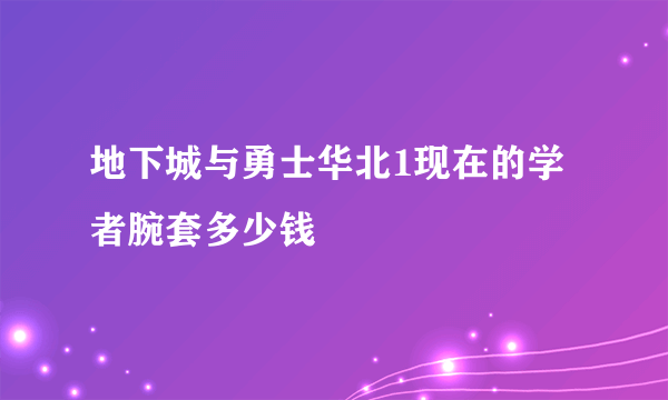 地下城与勇士华北1现在的学者腕套多少钱