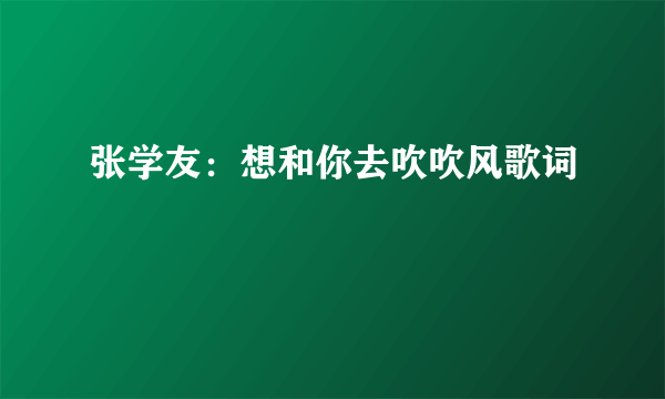 张学友：想和你去吹吹风歌词