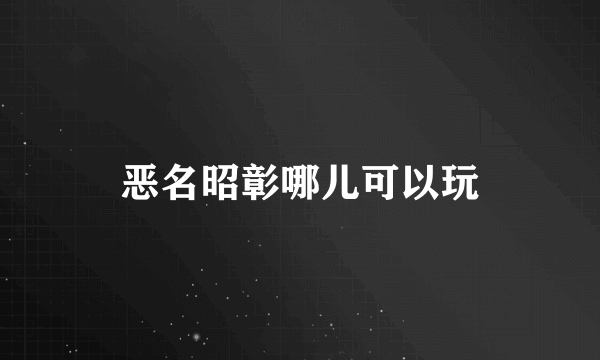 恶名昭彰哪儿可以玩