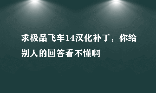 求极品飞车14汉化补丁，你给别人的回答看不懂啊