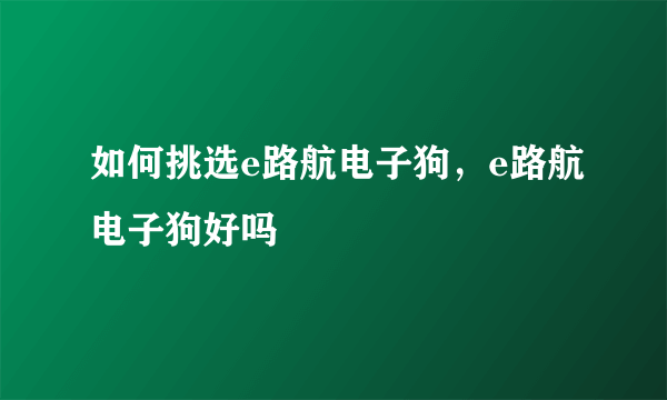 如何挑选e路航电子狗，e路航电子狗好吗