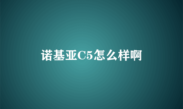 诺基亚C5怎么样啊