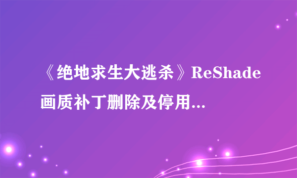《绝地求生大逃杀》ReShade画质补丁删除及停用方法 ReShade怎么删除