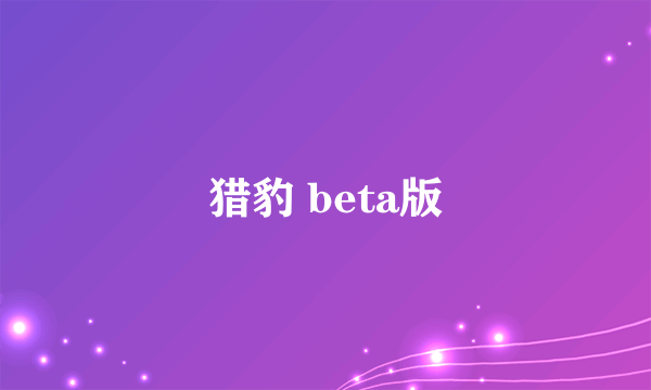 猎豹 beta版