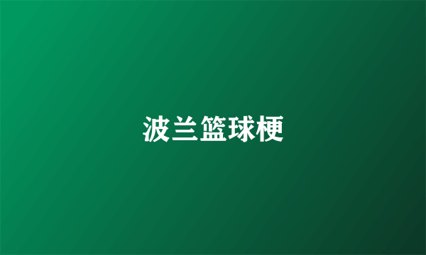 波兰篮球梗