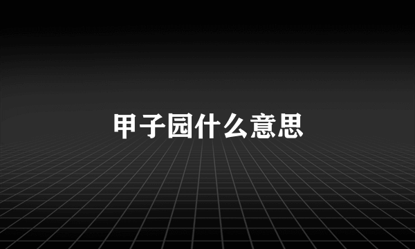 甲子园什么意思