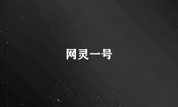 网灵一号