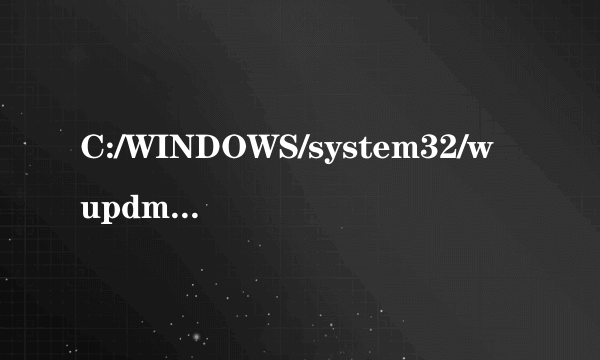 C:/WINDOWS/system32/wupdmgr.exe 这是什么文件啊？大哥 大侠帮帮我看看！
