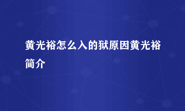 黄光裕怎么入的狱原因黄光裕简介