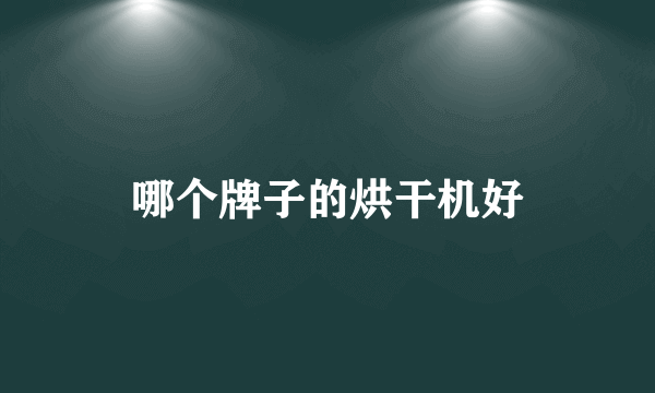哪个牌子的烘干机好