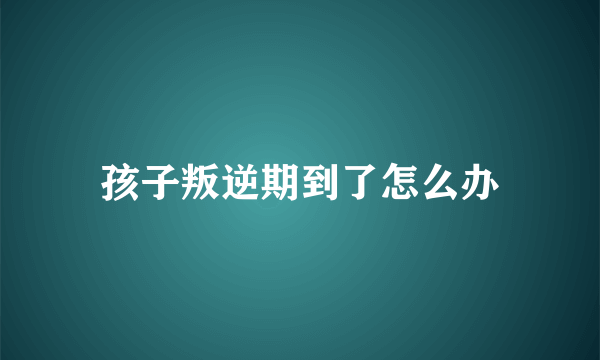 孩子叛逆期到了怎么办