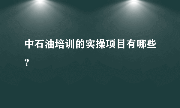 中石油培训的实操项目有哪些？