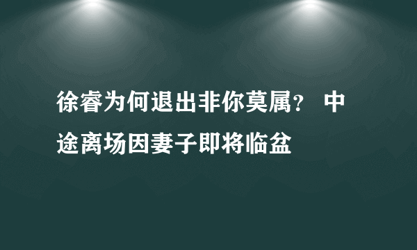 徐睿为何退出非你莫属？ 中途离场因妻子即将临盆