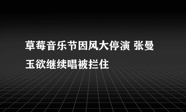 草莓音乐节因风大停演 张曼玉欲继续唱被拦住