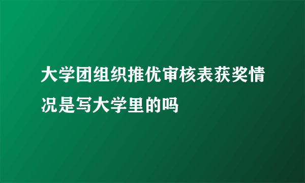 大学团组织推优审核表获奖情况是写大学里的吗